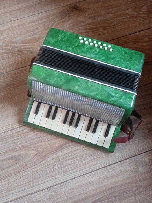 Akordeon dla dziecka