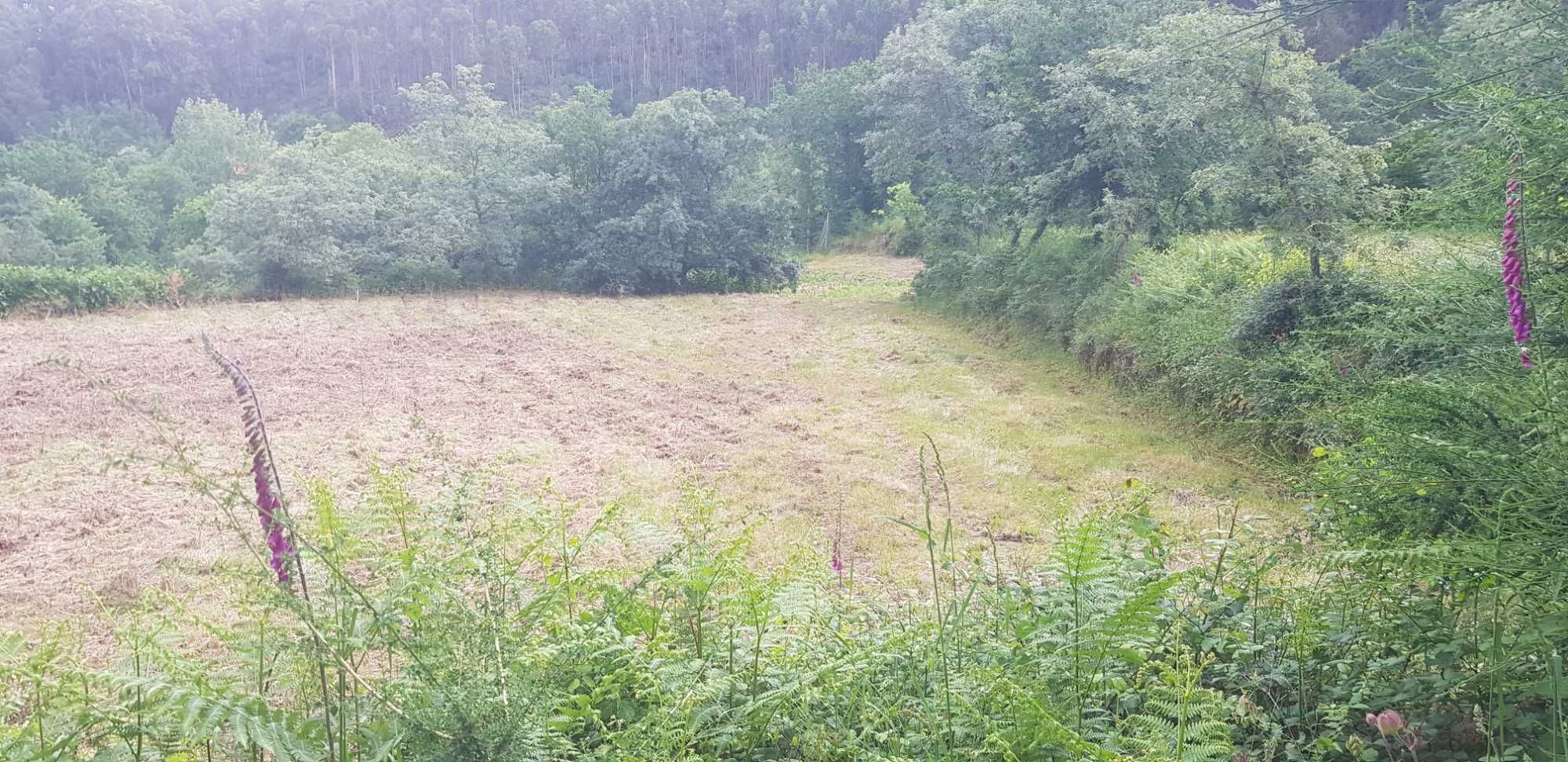 Terreno/6000m2/ Parte dele com licença de construção