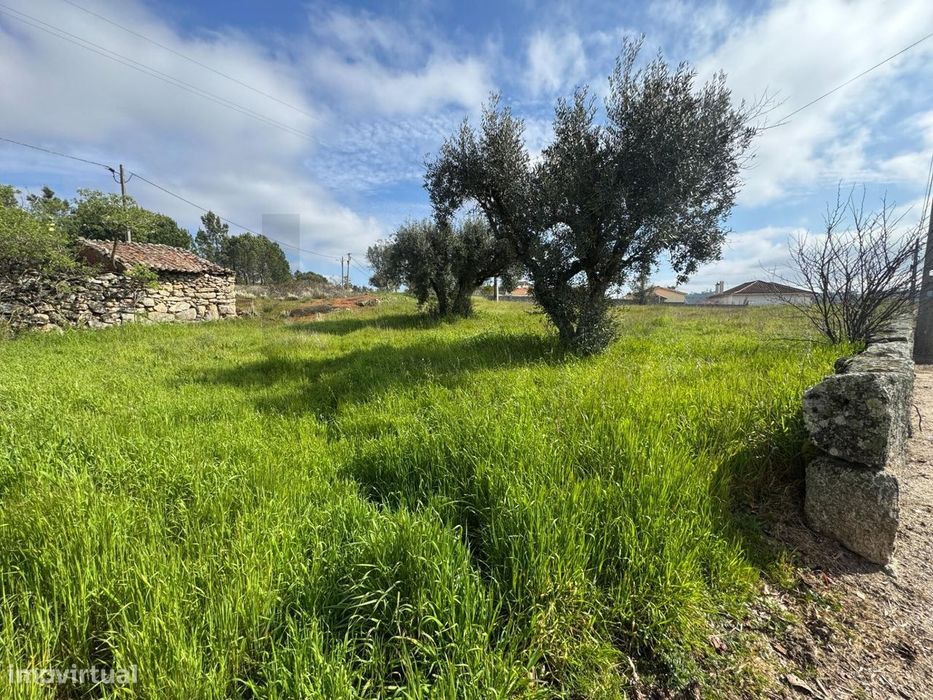 Terreno em Abrunhosa do Mato | 1232 m2 de Tranquilidade