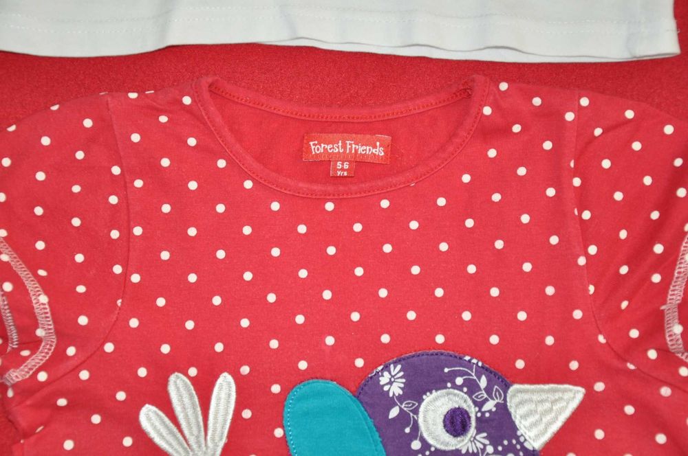 4 x koszulki 110-116 (5-6 L)-zestaw, Little Kids Jak H&M, Kiki&Koko