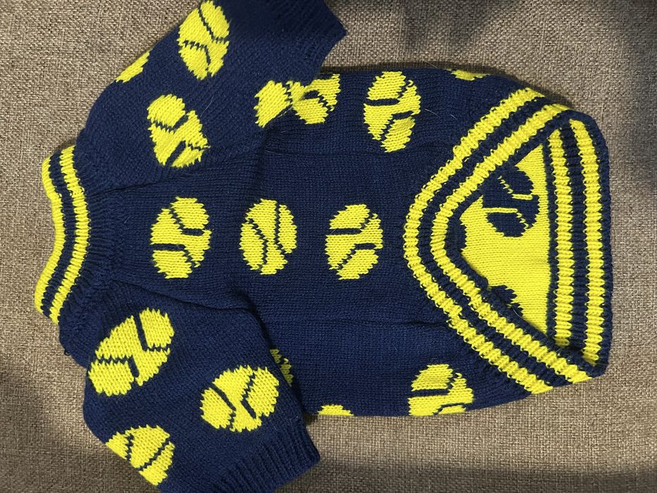 Одежда для собак