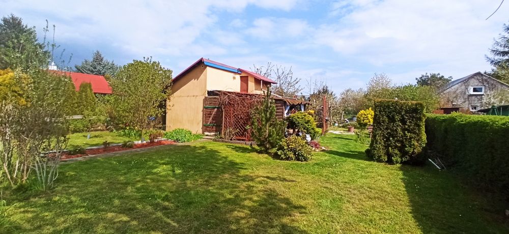 Działka ROD nad jeziorem Koskowickim