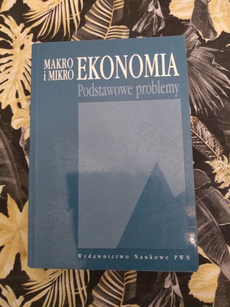 "Makro i mikro ekonomia. Podstawowe problemy" Stefan Marciniak