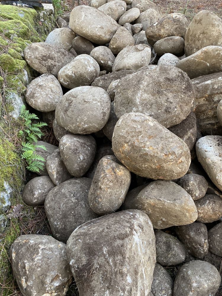 Pedra rolada para jardim