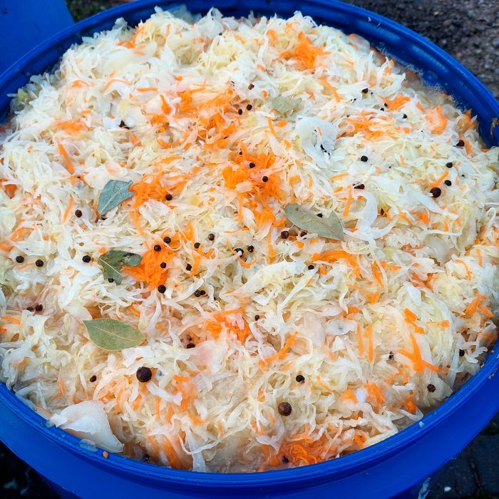 Kapusta kiszona bez konserwantów oferta hurtowa