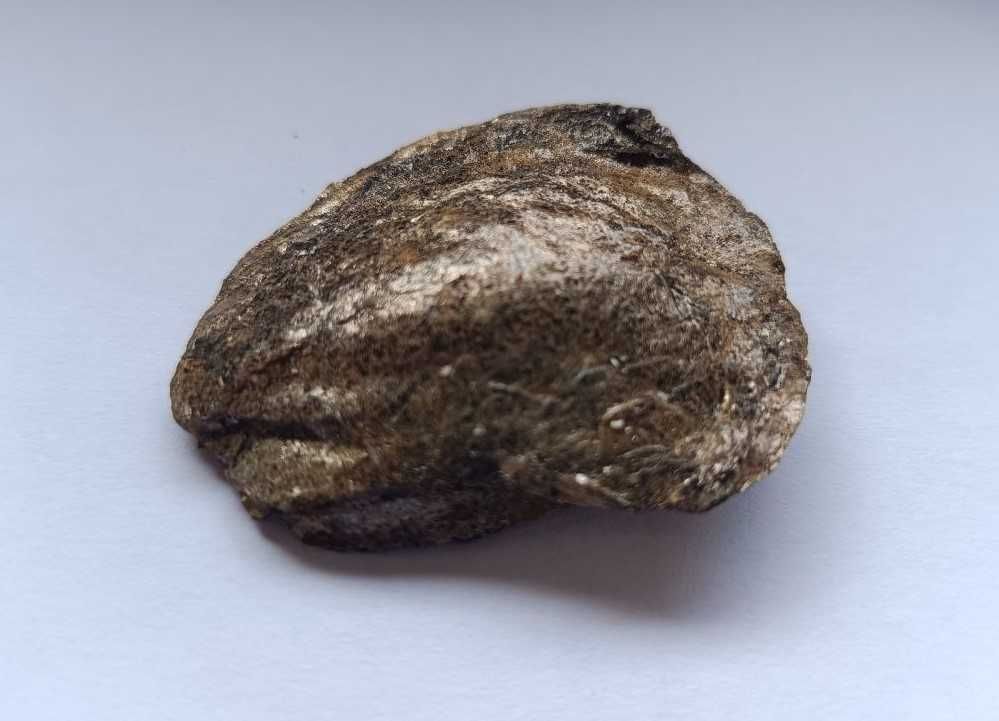 Pedra parideira coleção de Arouca
