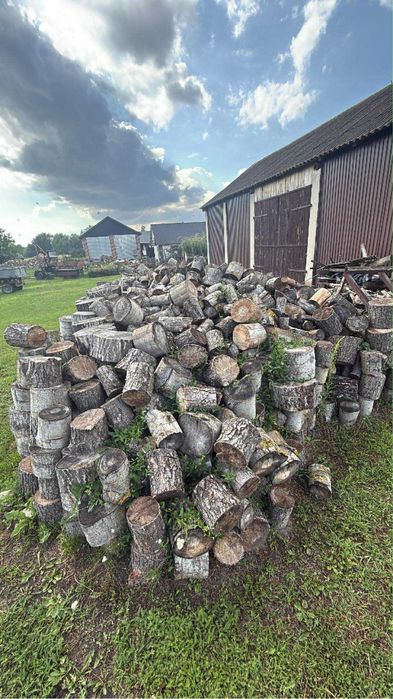 Drzewo opalowe olcha osika