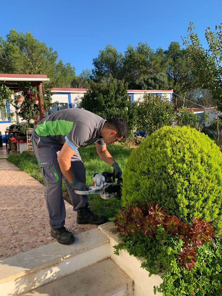 Serviços de jardim