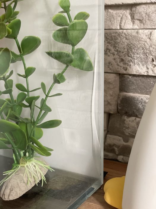 Акваріум тераріум 25л