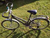 Rower Active Bike