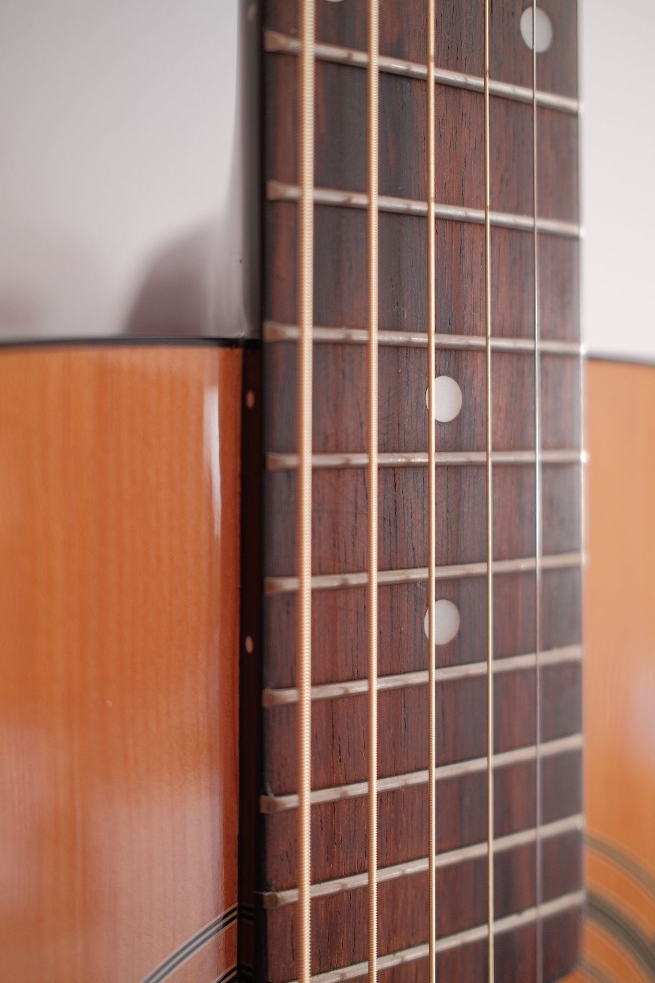 Guitarra Acústica Ibanez V50