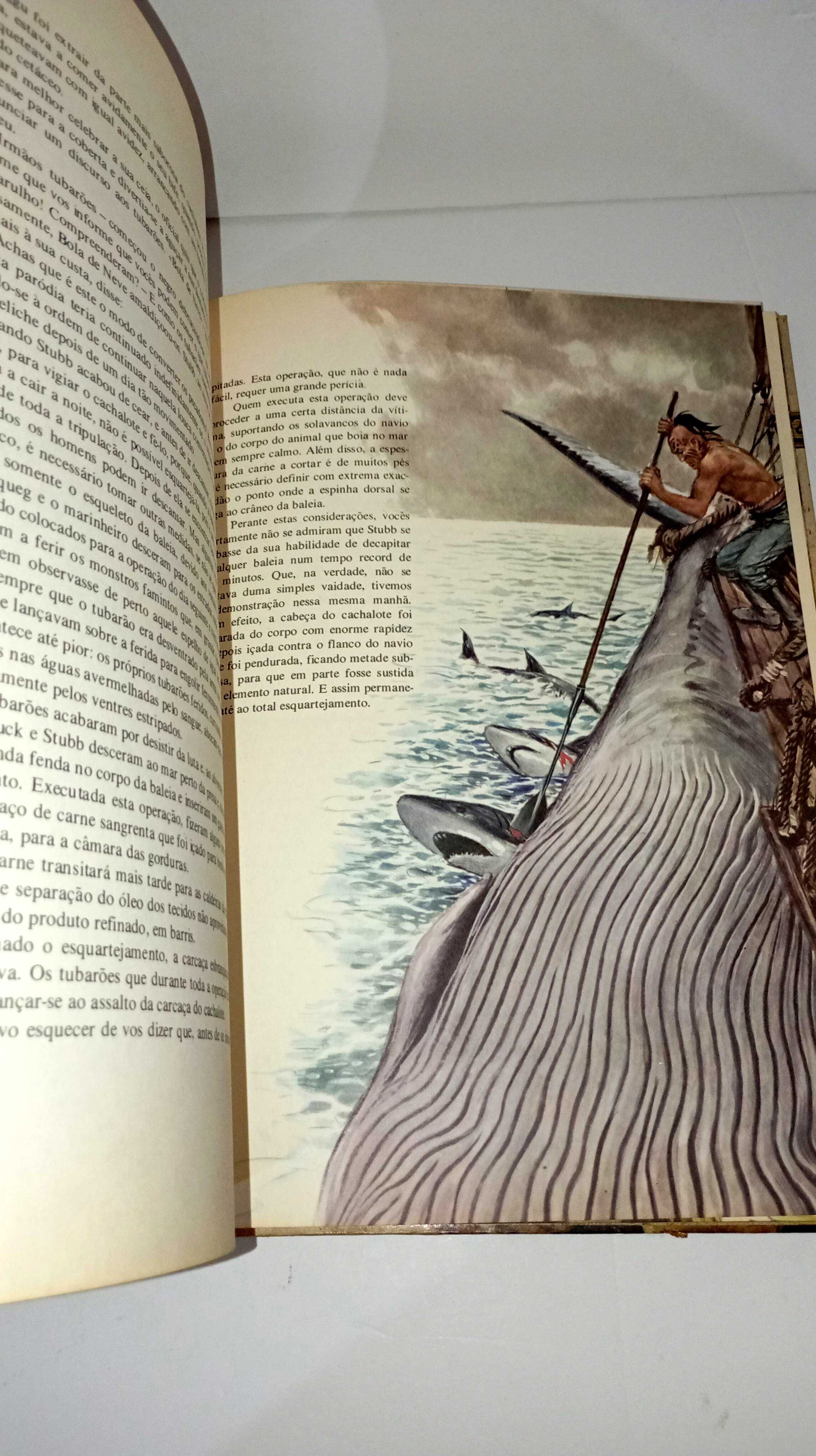 Moby Dick - coleção Aventura