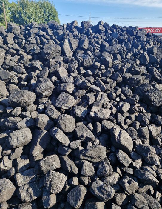 Węgiel Kostka Piast