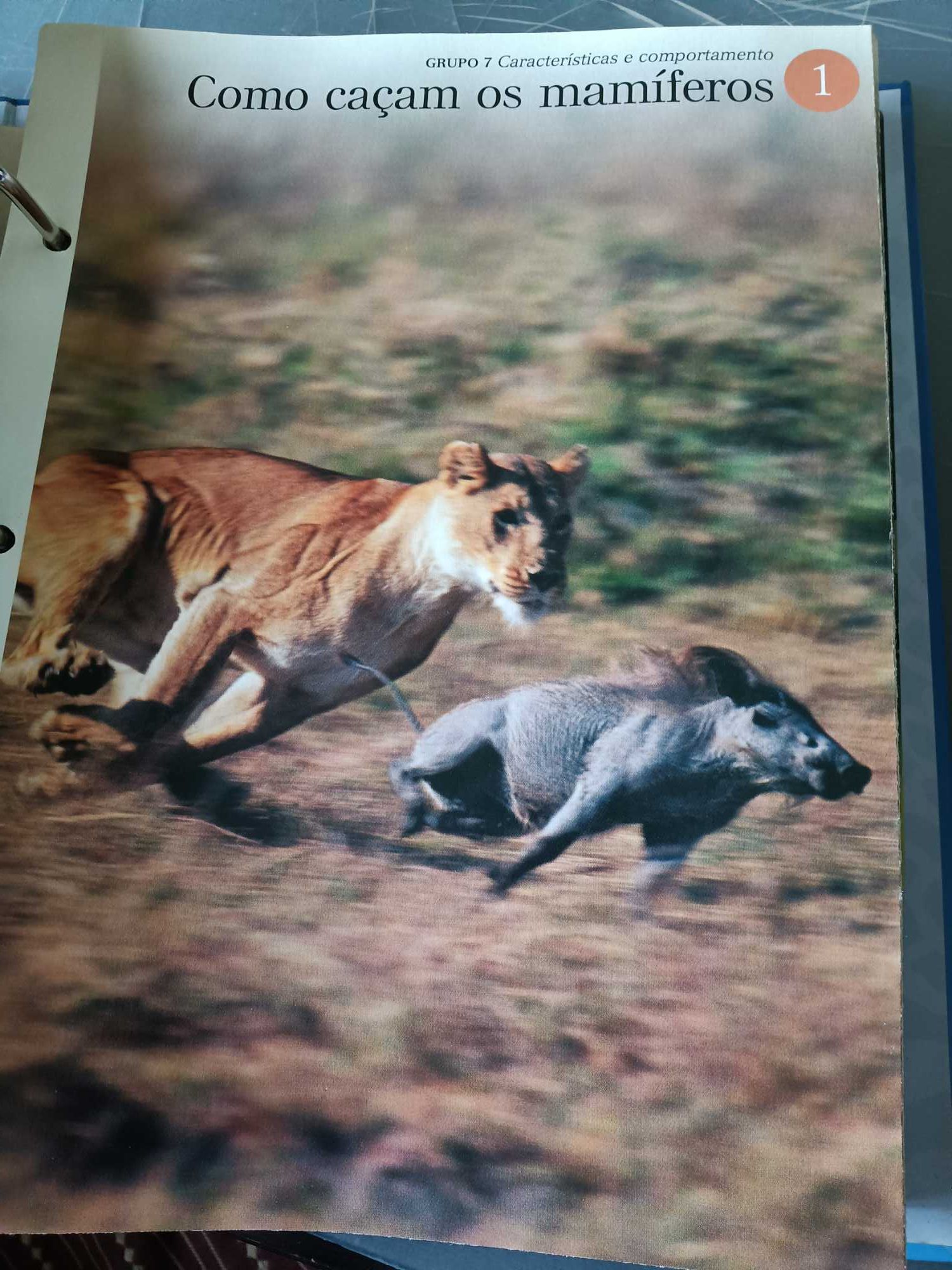 coleção de fascículos "O fascinante mundo animal"