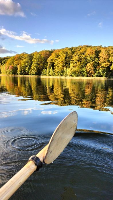 Domek nad jeziorem-Porost Apartament pod Dębem 42 m kw