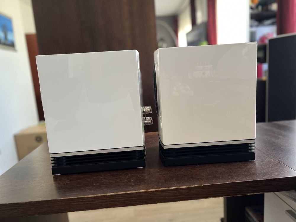 Fyne Audio F500 white gloss - Białe Głośniki podstawkowe połysk - para