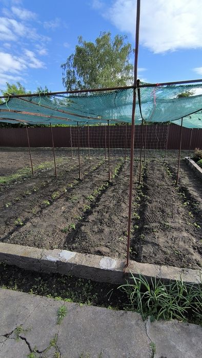 Будинок  р-н Миколаївка