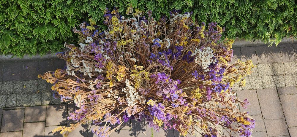 Duży bukiet suszonych kwiatów