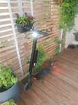 Hulajnoga Ninebot by Segway
