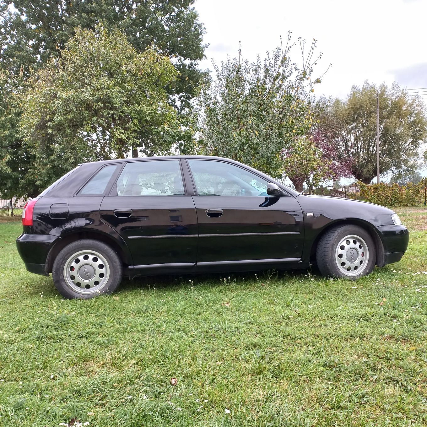 Audi A3 Sportback Sprzedam Audi A3 8l 125km w wersji 5 drzwiowej
