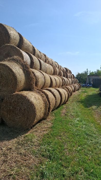 Zamienię słomę na obornik