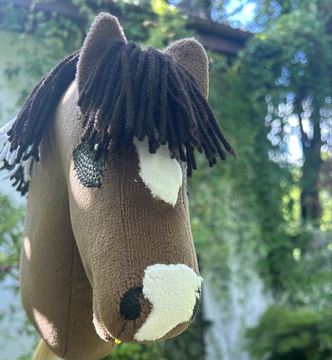 Hobby horse os A5+