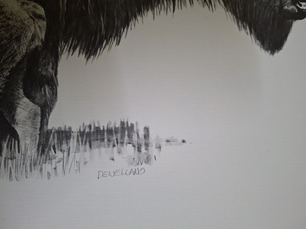 Enorme desenho pintura arte