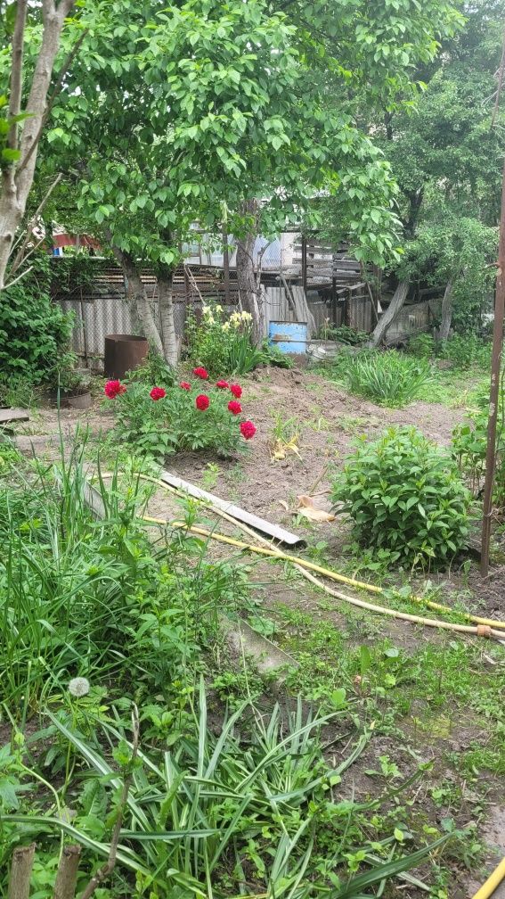 Продажа земли Совки. Без комиссии!!!