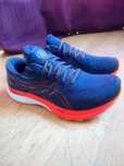 Buty Asics Gel Kayano 29