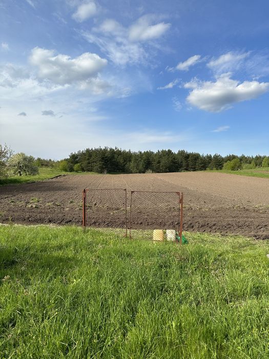 Земельна ділянка біля лісу в с. Путренці