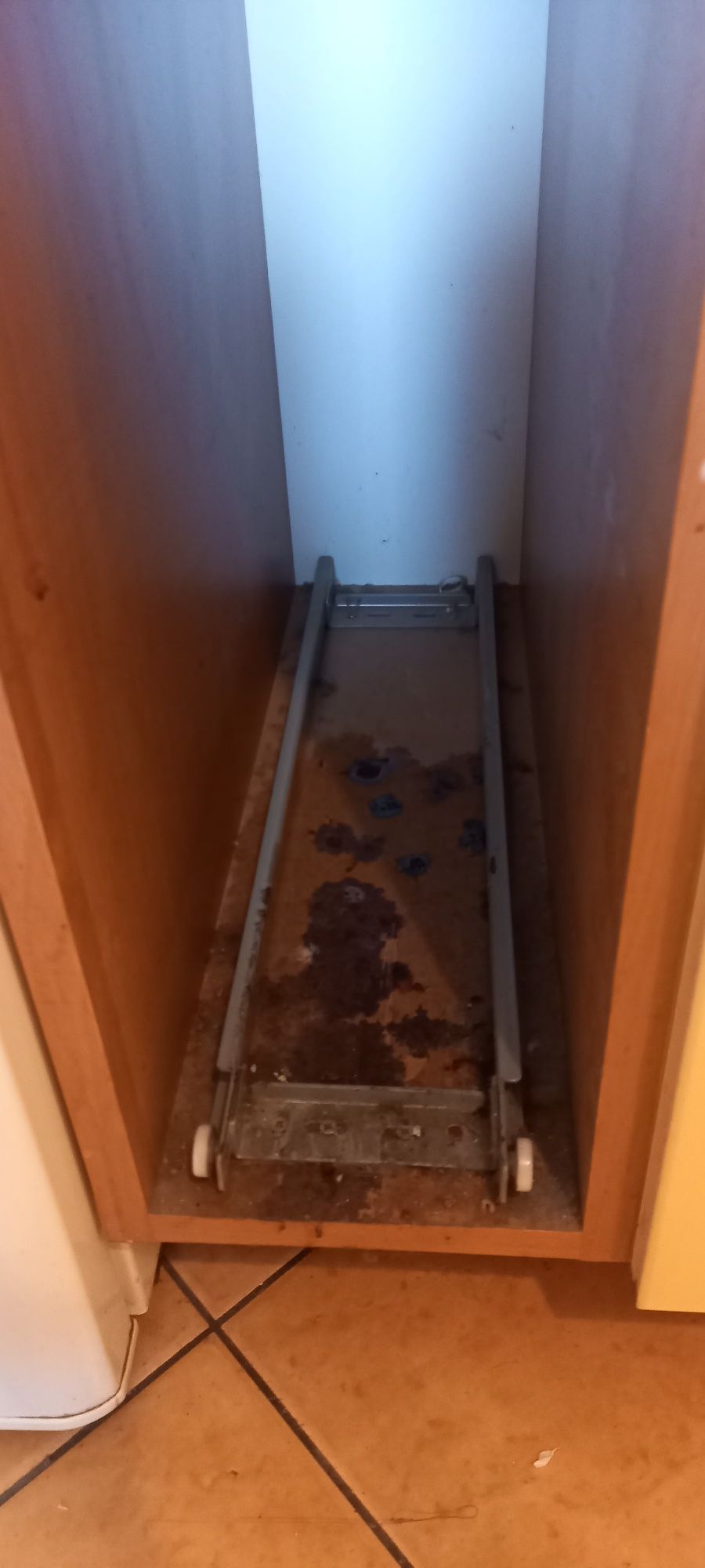 Sprzątanie pomieszczeń i złota rączka - mieszkania, biura, lokale