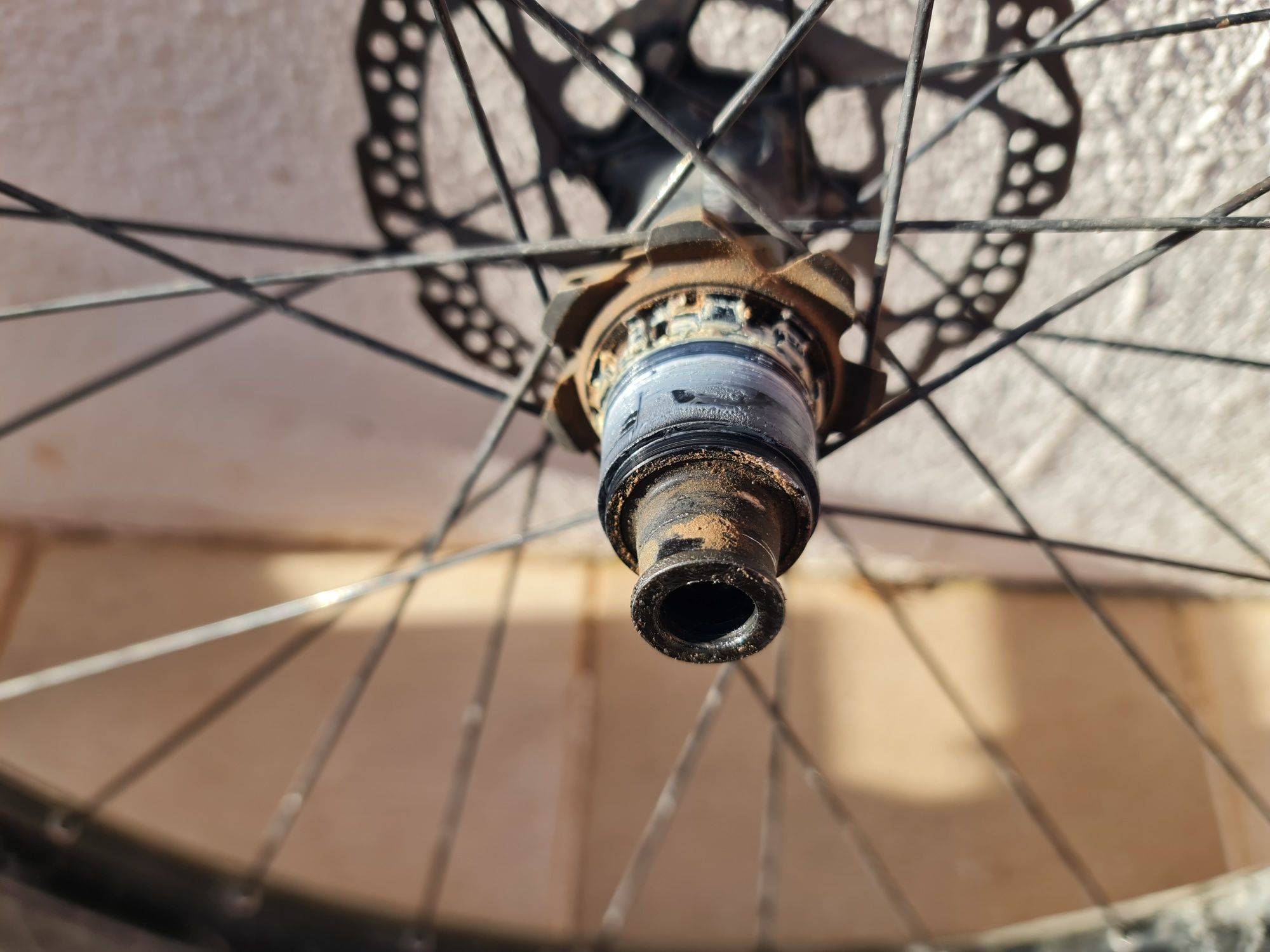 Rodas DT Swiss 27.5