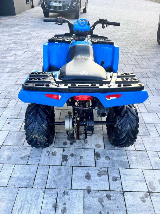 Polaris 110  2019