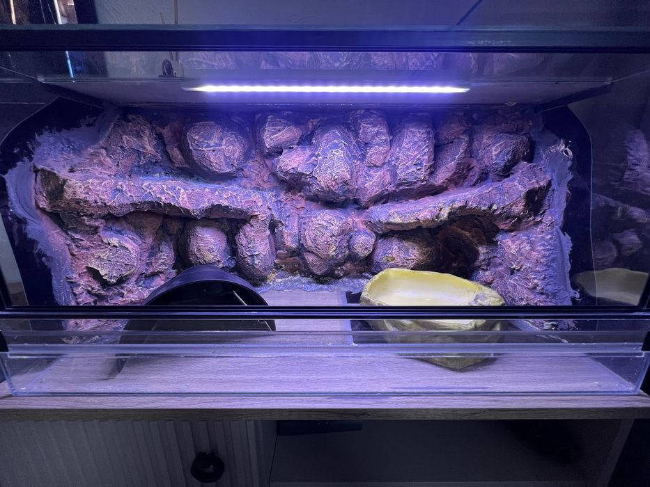 Terrarium 80x40x40