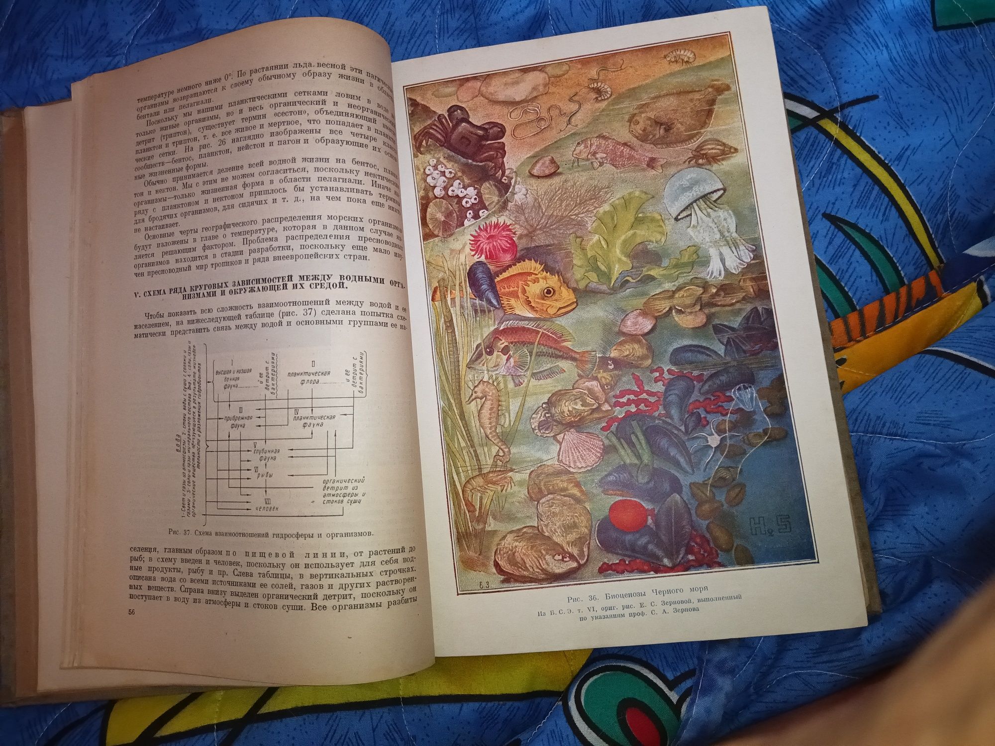 Продам книгу "Общая гидробиология"