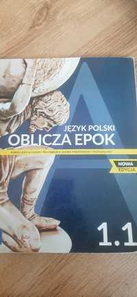 Podręcznik do polskiego klasa 1 technikum I  liceum poziom podstawowy