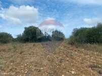 Terreno  para venda