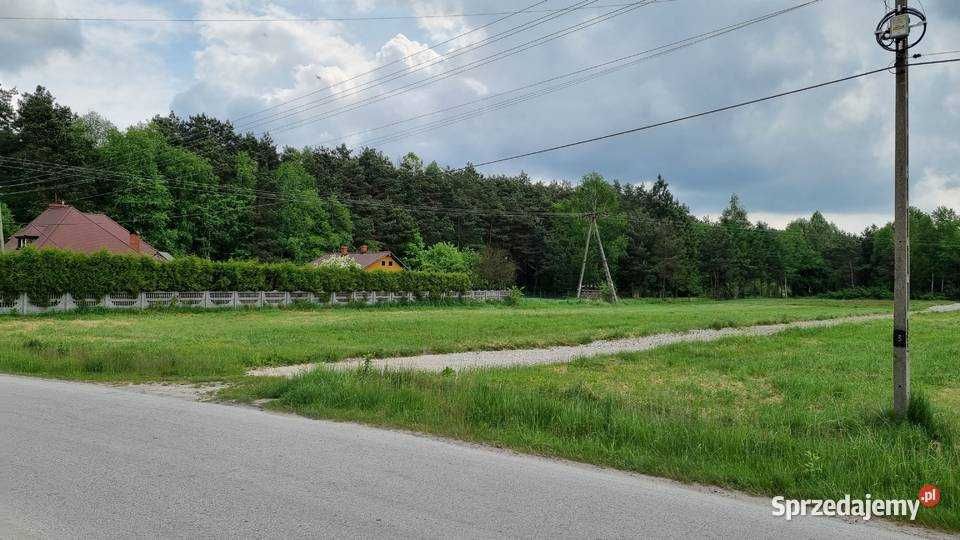 Atrakcyjne dzialki budowlane z widokiem na las