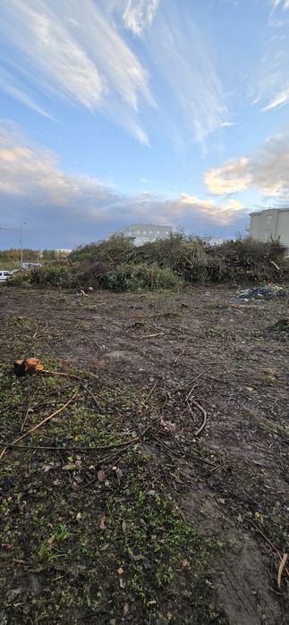 Wycinka drzew krzewów itp.