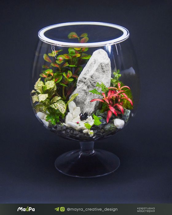 Флораріум, мохаріум, композиції з живими квітами
