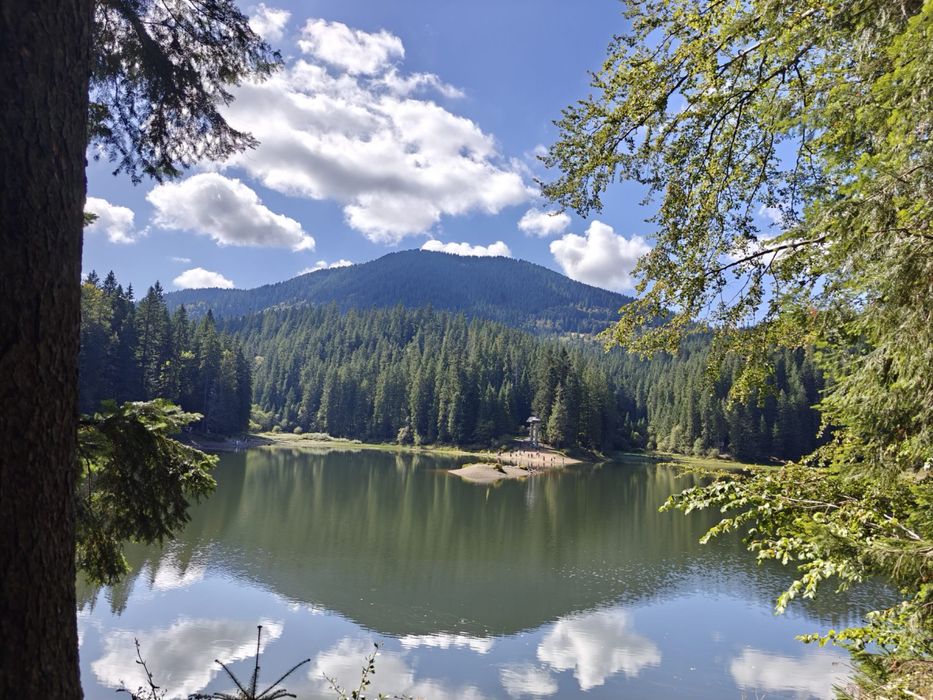 Котедж «ГІРСЬКИЙ ЗАТИШОК» поблизу озера Синевир