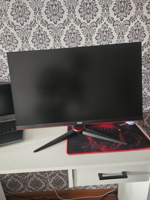 Монітор ігровий AOC 24G2SPAE/BK  165hz