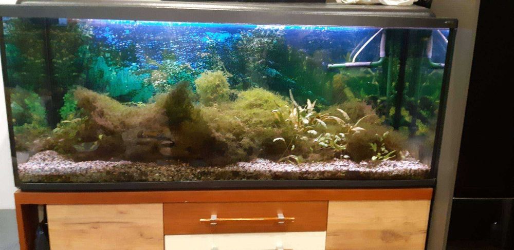 Duże akwarium z filtrem