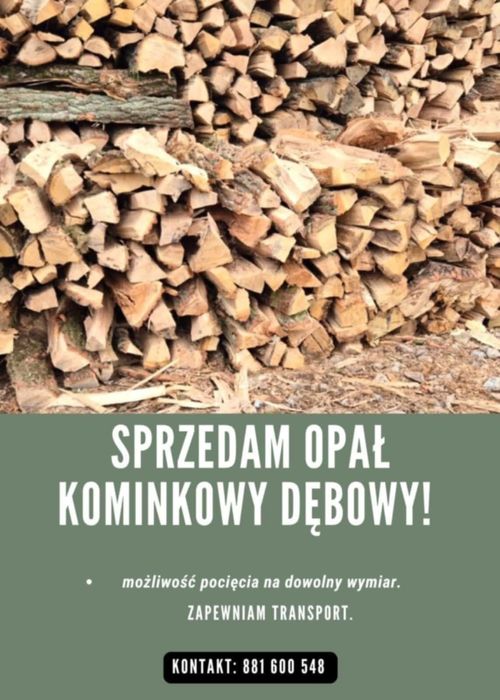 Drewno kominkowe drzewo opałowe twarde