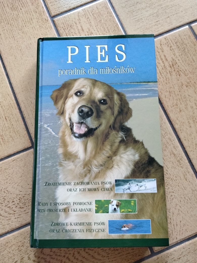 Książka poradnik o psach