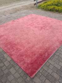 Duży czerwony dywan