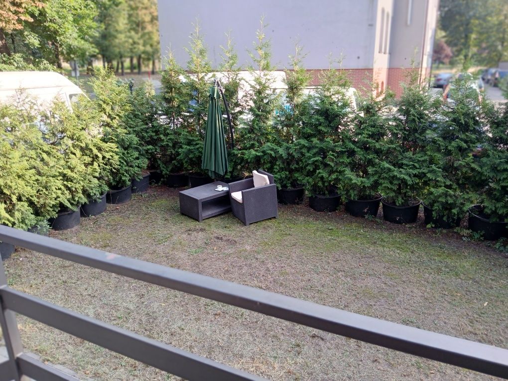 250 doba  apartament 10 minut do centrum Katowic max 10 osób