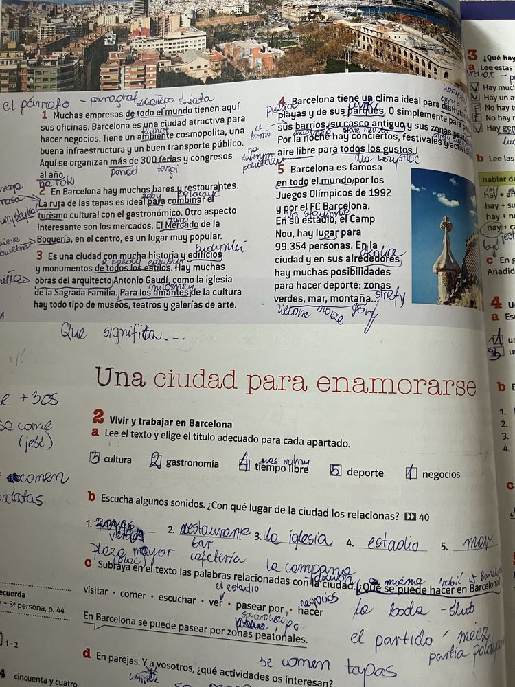 Meta profesional A1-A2 jezyk hiszpański