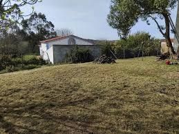 Limpeza de terrenos/abate de arvores