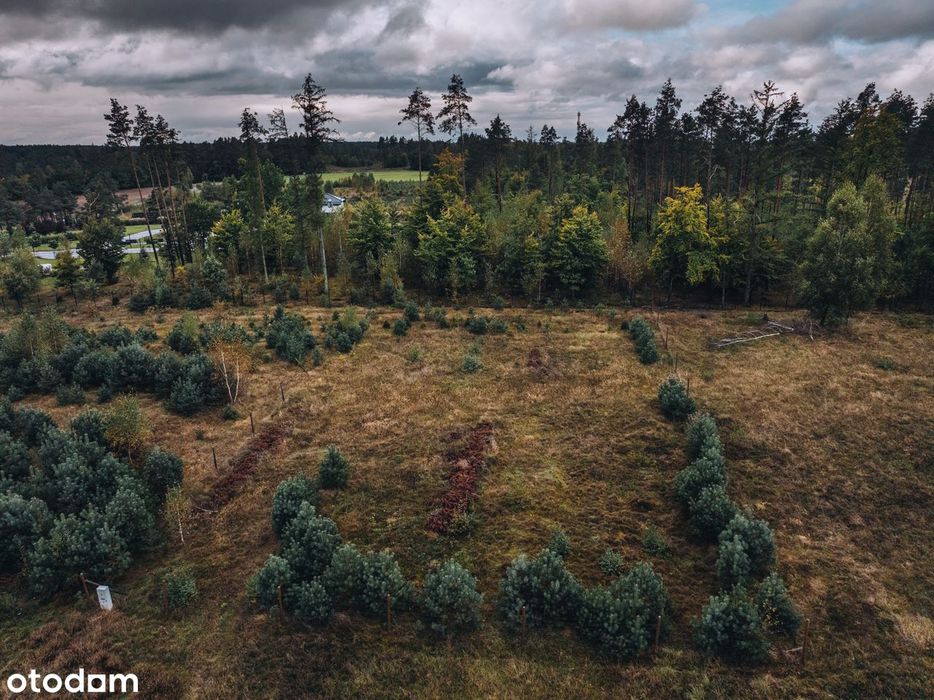 zamieszkaj pod lasem I Sulęczyno I Kaszuby I 3 jeziora obok